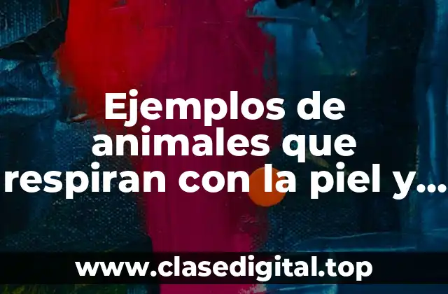 Ejemplos de animales que respiran con la piel y Significado