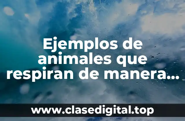 Ejemplos de animales que respiran de manera cutánea