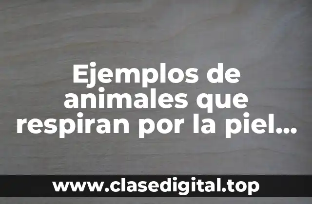 Ejemplos de animales que respiran por la piel para colorear