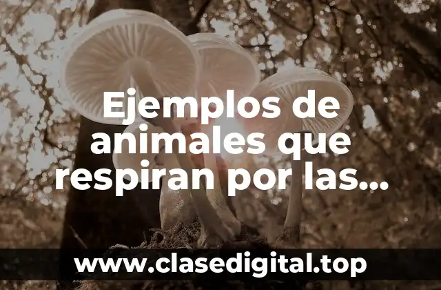 Ejemplos de animales que respiran por las estomas