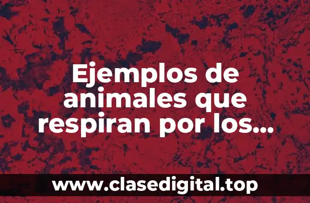 Ejemplos de animales que respiran por los pulmones