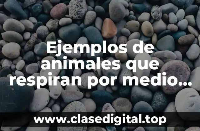 Ejemplos de animales que respiran por medio de traqueas