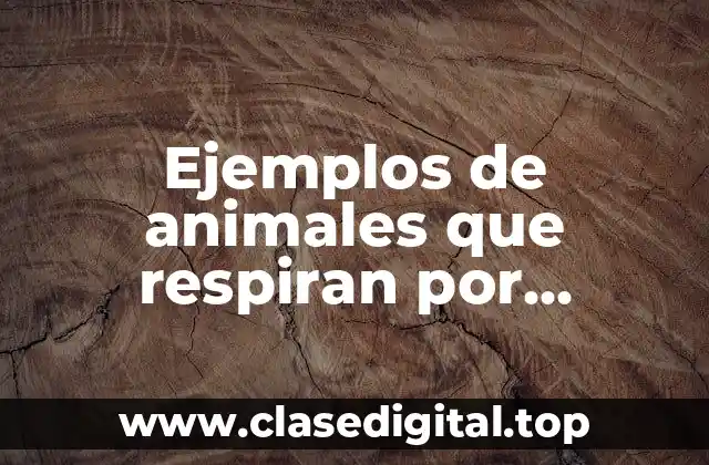 Ejemplos de animales que respiran por pulmones para colorear