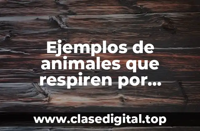 Ejemplos de animales que respiren por estomas y Significado