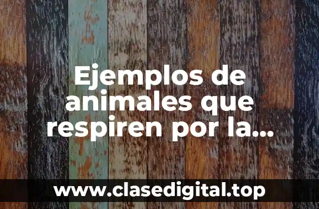Ejemplos de animales que respiren por la traquea