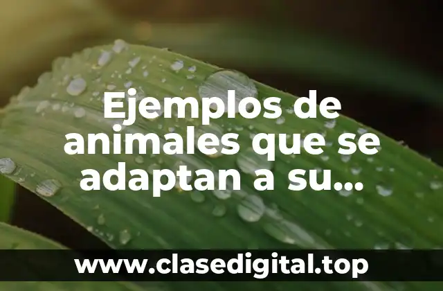 Ejemplos de animales que se adaptan a su entorno