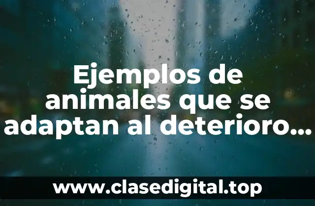 Ejemplos de animales que se adaptan al deterioro del ambiente