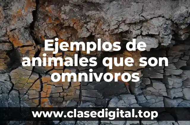 Ejemplos de animales que son omnivoros