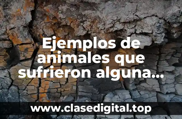 Ejemplos de animales que sufrieron alguna mutación y sus consecuencias