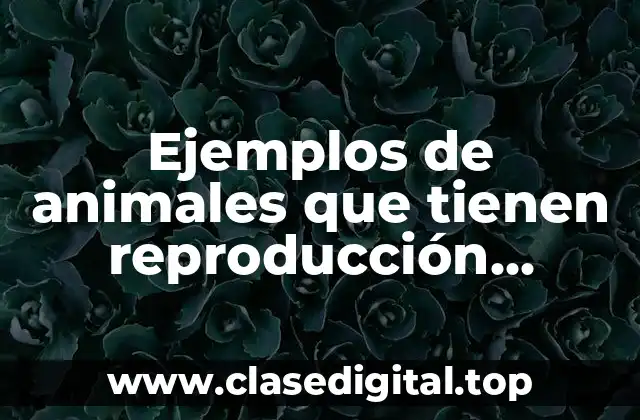 Ejemplos de animales que tienen reproducción asexual