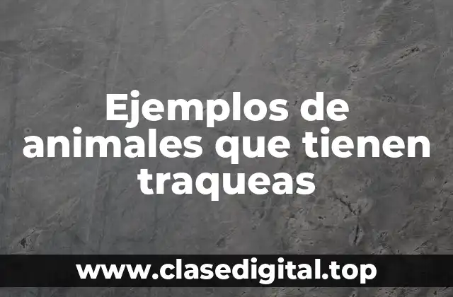 Ejemplos de animales que tienen traqueas