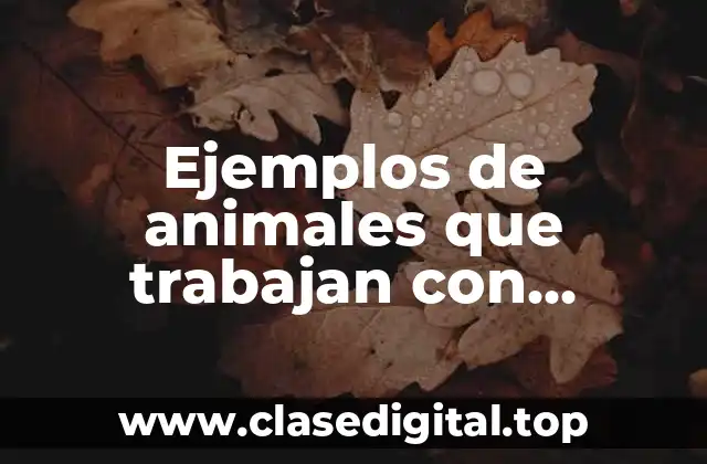 Ejemplos de animales que trabajan con humanos