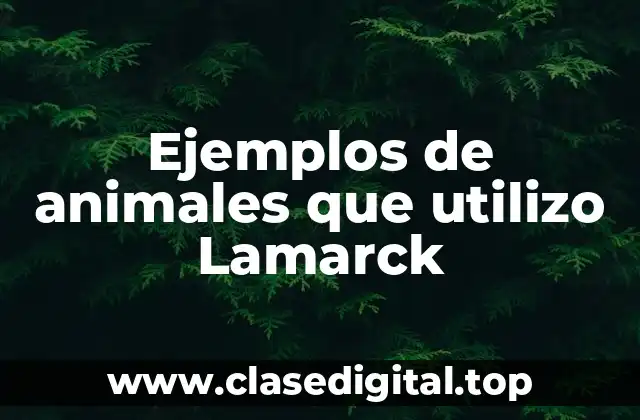 Ejemplos de animales que utilizo Lamarck