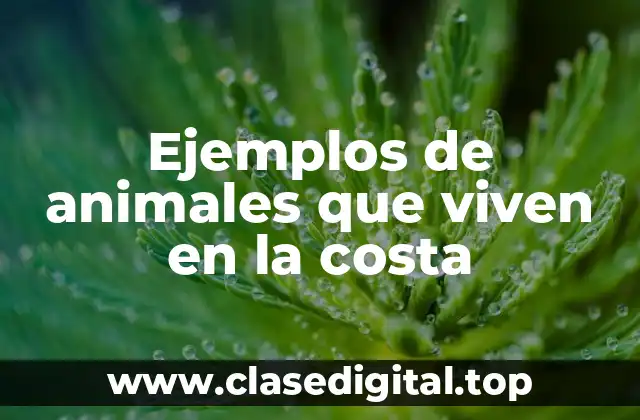 Ejemplos de animales que viven en la costa