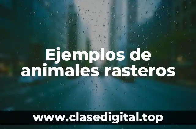 Ejemplos de animales rasteros