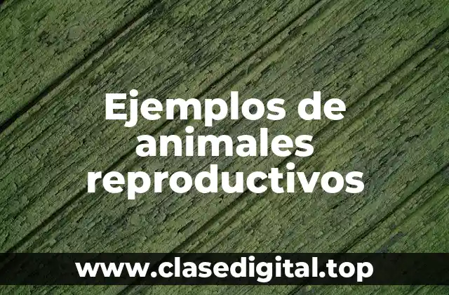 Ejemplos de animales reproductivos