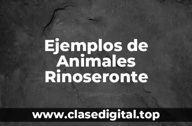 Ejemplos de Animales Rinoseronte