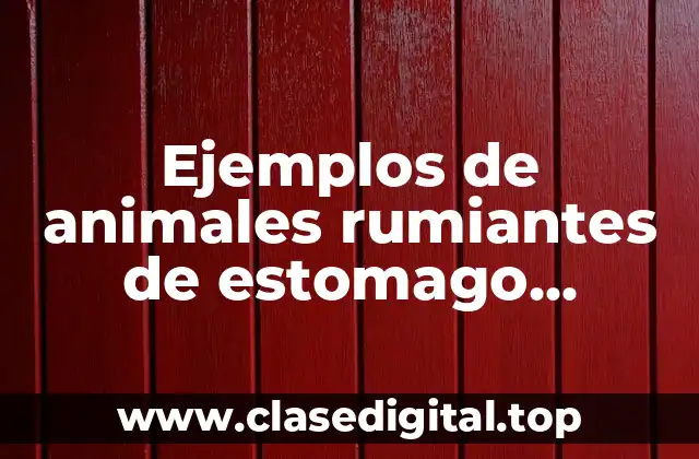 Ejemplos de animales rumiantes de estomago simples y rumiantes