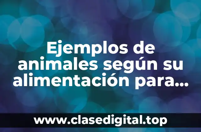 Ejemplos de animales según su alimentación para niños de primaria