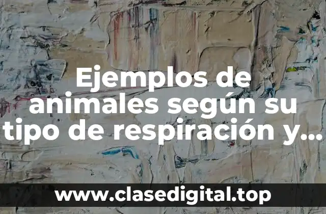 Ejemplos de animales según su tipo de respiración y Significado
