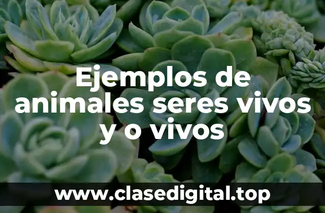 Ejemplos de animales seres vivos y o vivos
