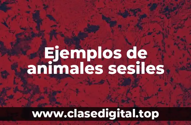 Ejemplos de animales sesiles