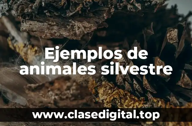 Ejemplos de animales silvestre