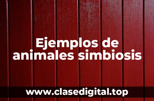 Ejemplos de animales simbiosis