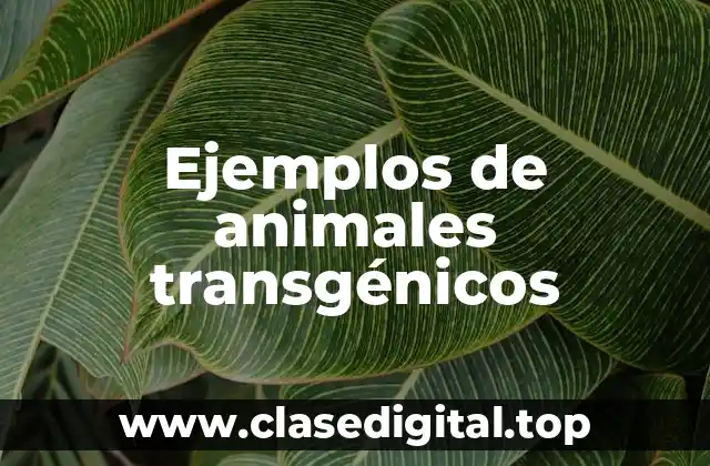 Ejemplos de animales transgénicos