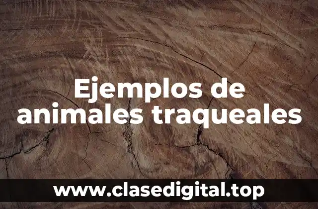 Ejemplos de animales traqueales