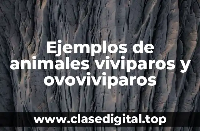 Ejemplos de animales viviparos y ovoviviparos