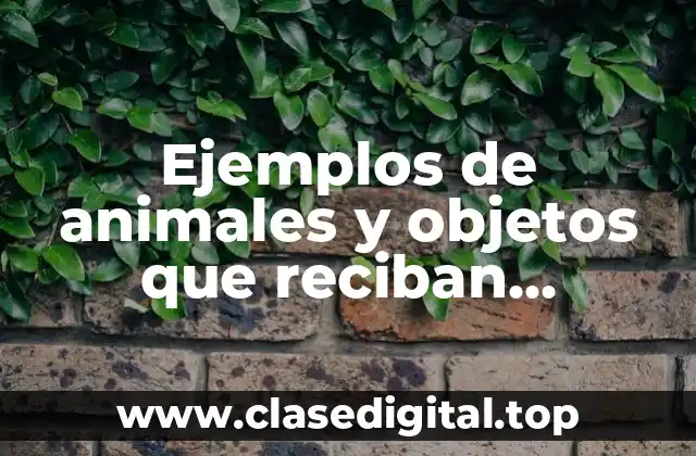 Ejemplos de animales y objetos que reciban diferentes nombres