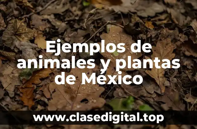 Ejemplos de animales y plantas de México
