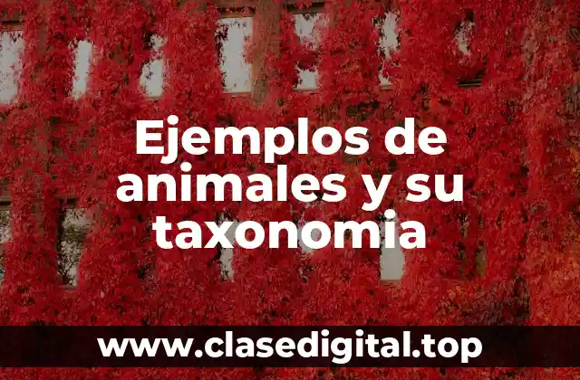 Ejemplos de animales y su taxonomia