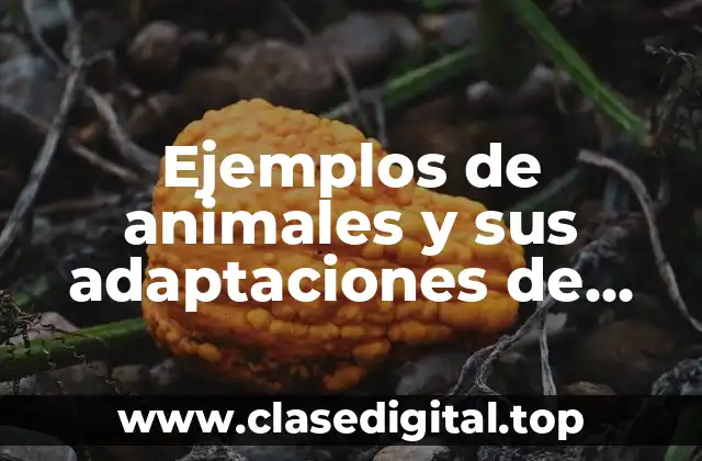 Ejemplos de animales y sus adaptaciones de comportamiento