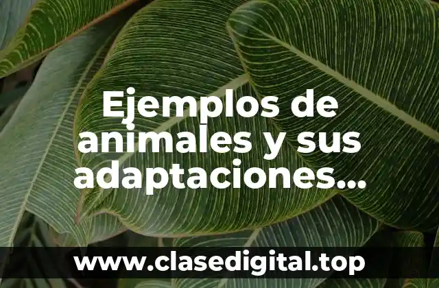 Ejemplos de animales y sus adaptaciones morfológicas