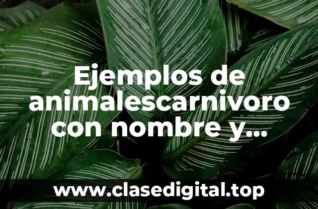 Ejemplos de animalescarnivoro con nombre
