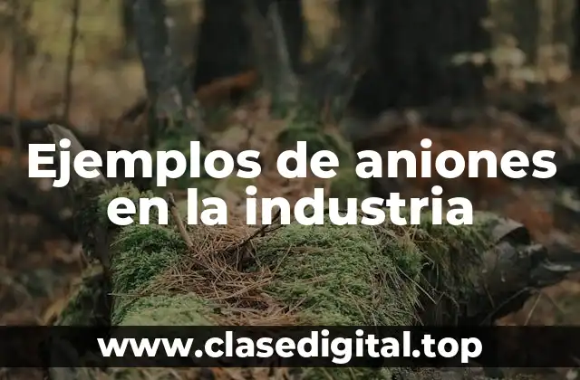 Ejemplos de aniones en la industria