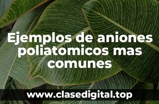 Ejemplos de aniones poliatomicos mas comunes