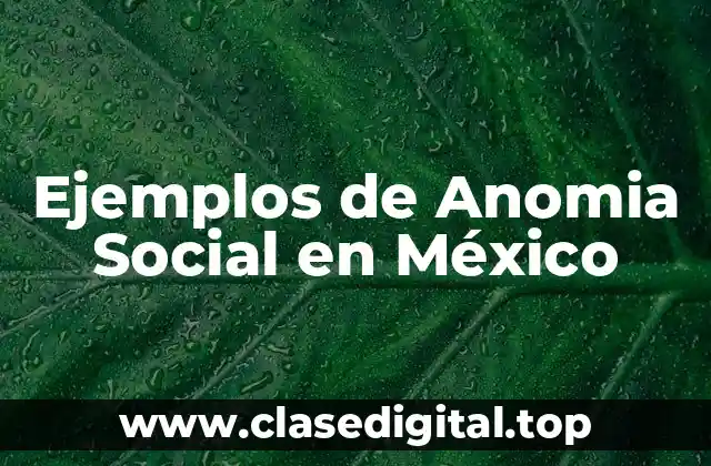 Ejemplos de Anomia Social en México