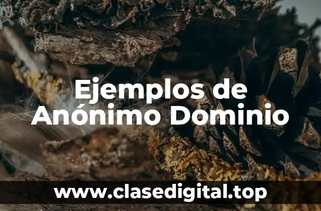 Ejemplos de Anónimo Dominio