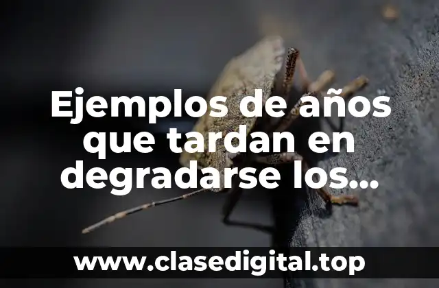 Ejemplos de años que tardan en degradarse los materiales