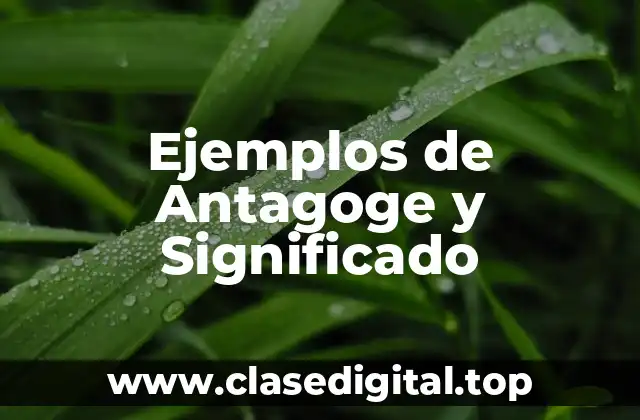 Ejemplos de Antagoge