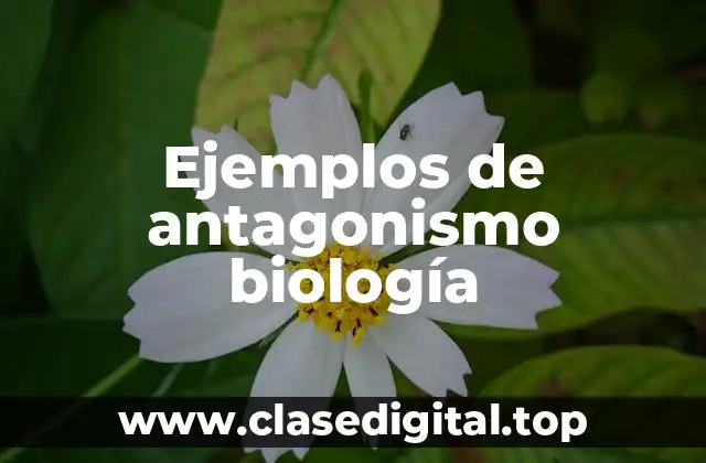 Ejemplos de antagonismo biología