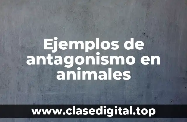 Ejemplos de antagonismo en animales