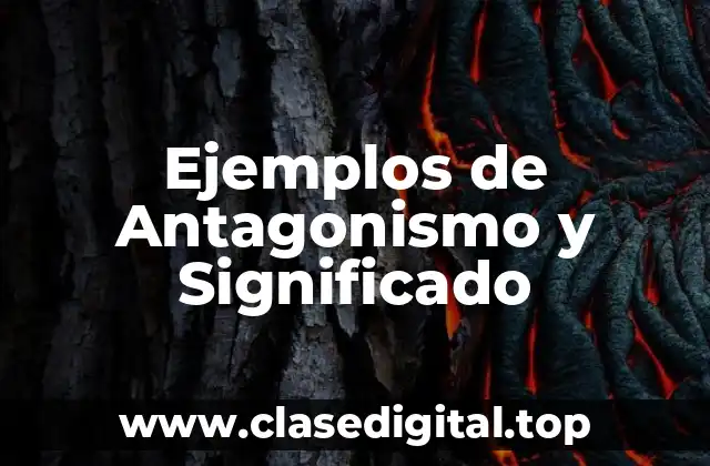 Ejemplos de Antagonismo y Significado