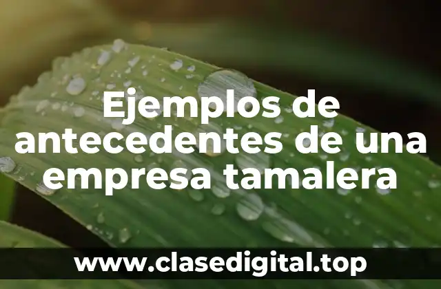 Ejemplos de antecedentes de una empresa tamalera
