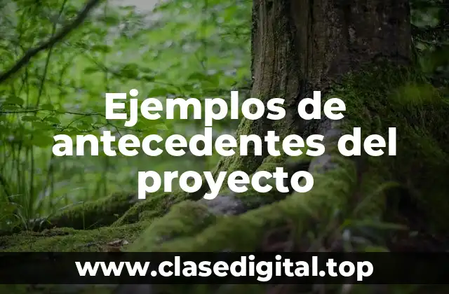 Ejemplos de antecedentes del proyecto