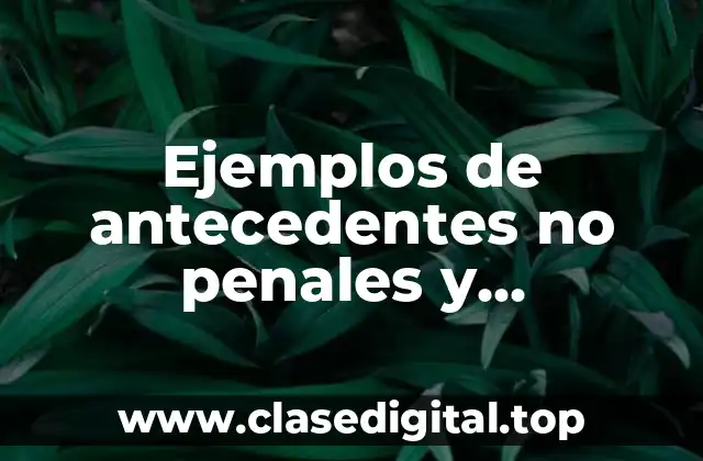 Ejemplos de antecedentes no penales y Significado