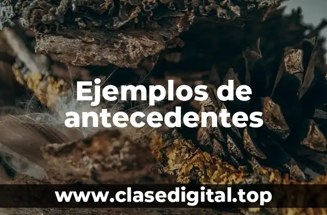 Ejemplos de antecedentes